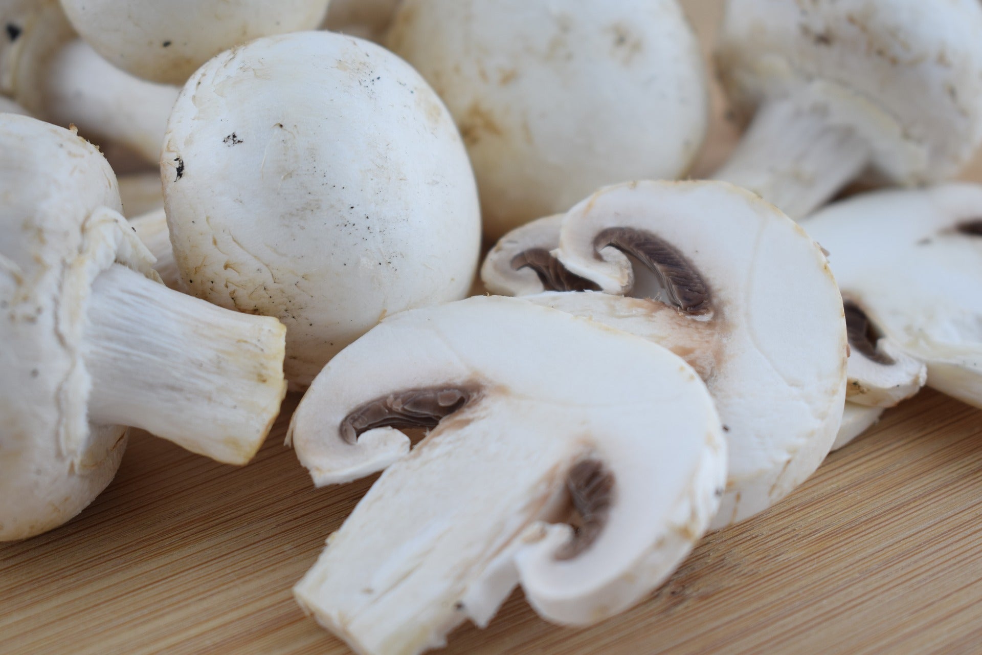 meerschweinchen mist als dnger Kleintiereinstreu  Allkokos