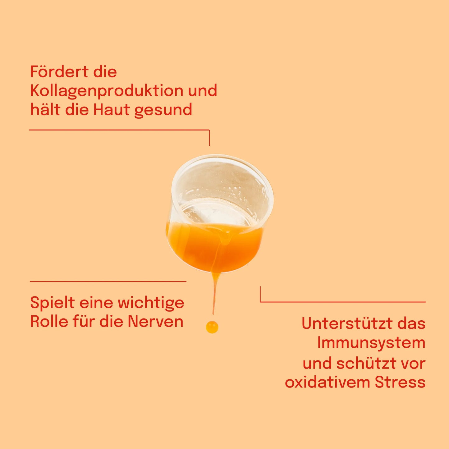 3FÜR2: Liposomales Vitamin C