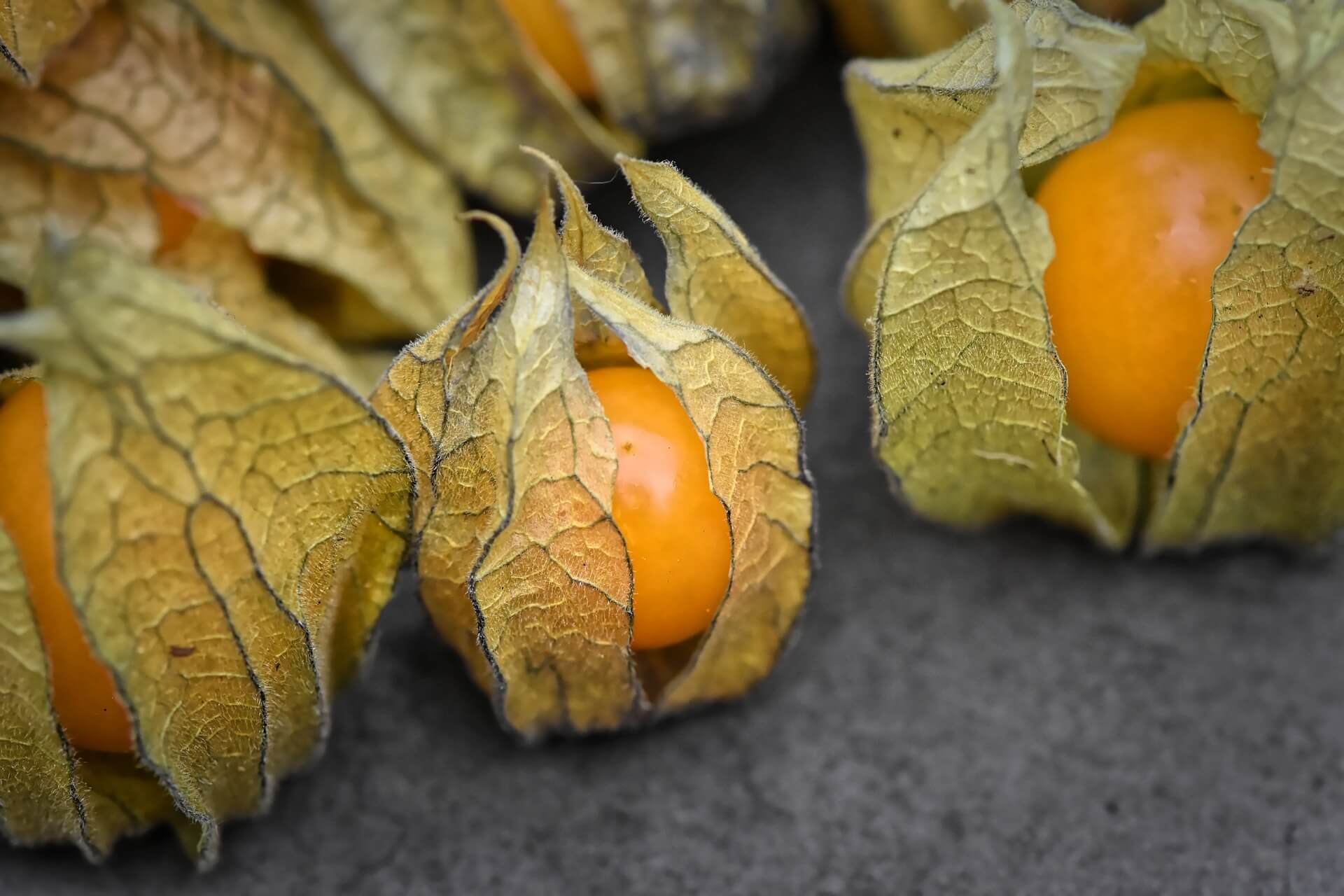 Ist die Physalis gesund? Die wichtigsten Fragen und Antworten Sundt