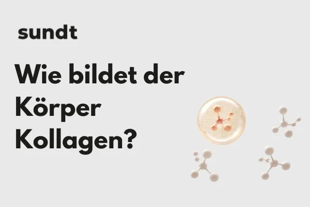 Wie bildet der Körper Kollagen?