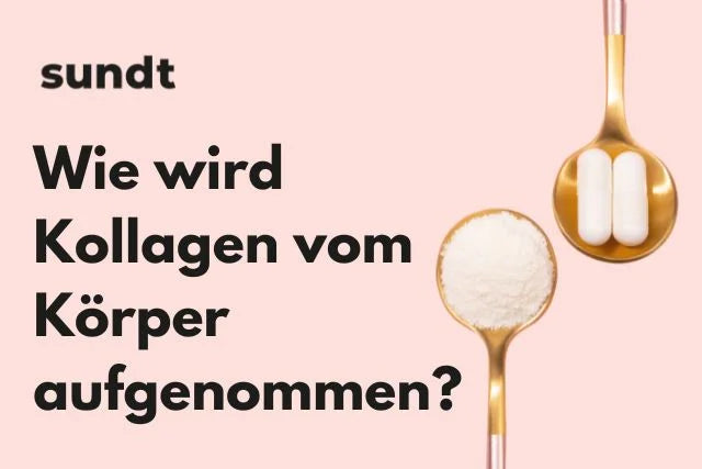 Wie wird Kollagen vom Körper aufgenommen?