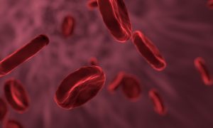 Zu wenig rote Blutkörperchen: Ursachen, Symptome & Behandlung
