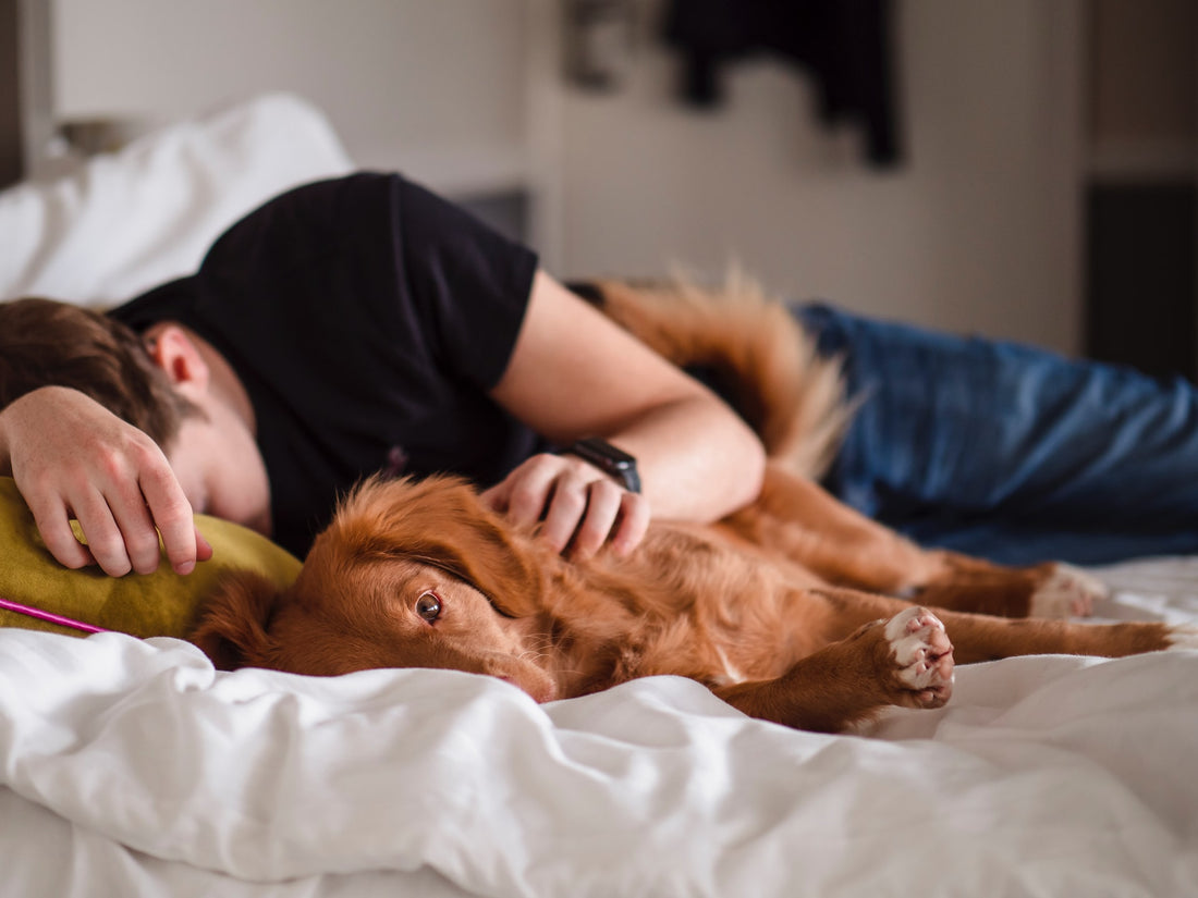 Dauernd müde: Die besten Tipps & Tricks gegen andauernde Müdigkeit