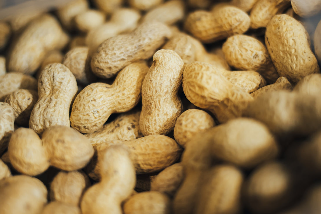 Kalorien von Erdnüssen: Die wichtigsten Fragen und Antworten