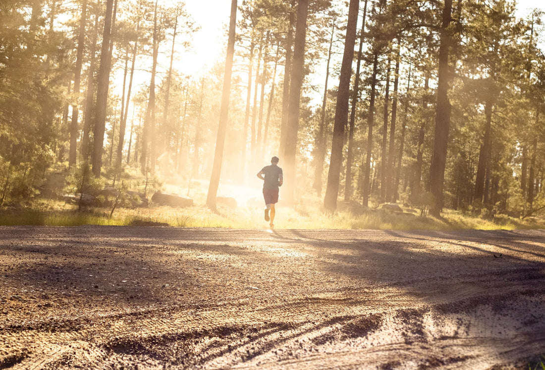 Joggen lernen: Die wichtigsten Fragen und Antworten