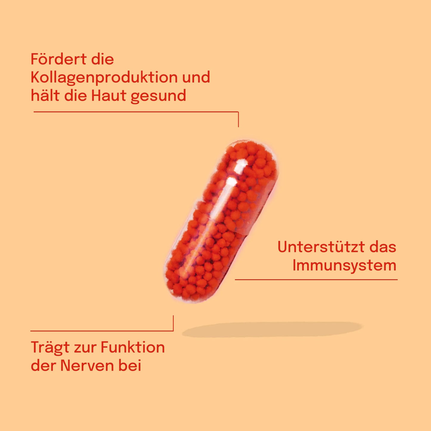 Liposomale Vitamin C Kapseln